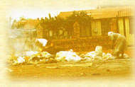 Burning Garbage in Soweto